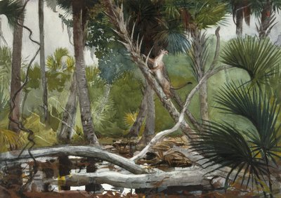 In the Jungle, Florida by Winslow Homer